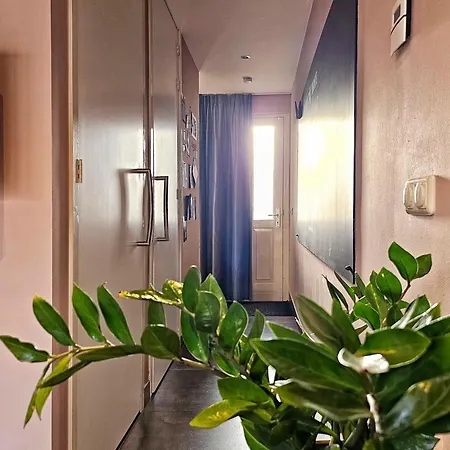 At I Free Parking & Airco زاندفورت